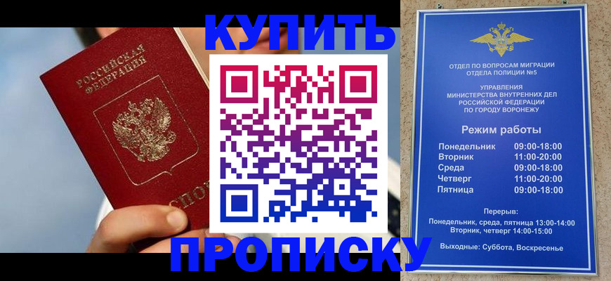 временная регистрация адрес в Жуковском